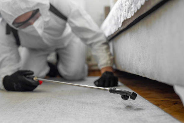 Professional Bed Bug Control technician working in Tano Road, NM