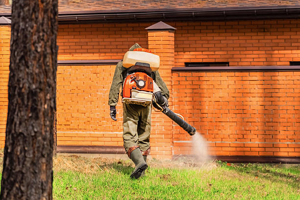 Trusted Termite Control service in Tano Road, NM - Nex Pest Control